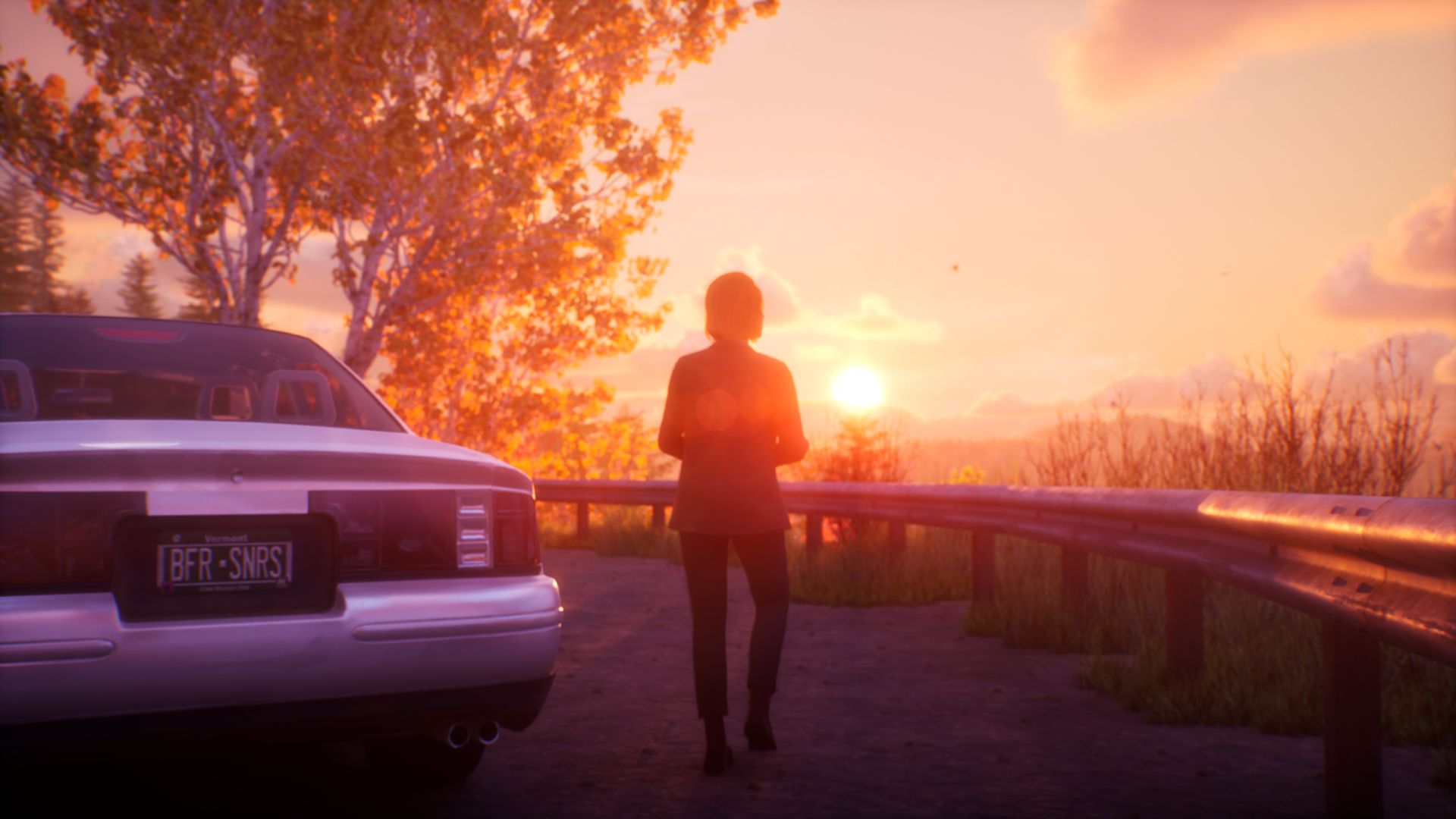 Life Is Strange Reunion (62)