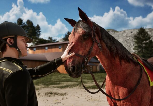 champions stable equestrian dynasty cover