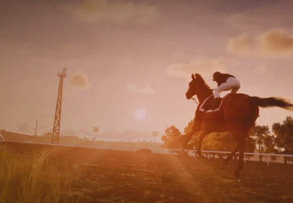 Champions Stable Equestrian Dynasty