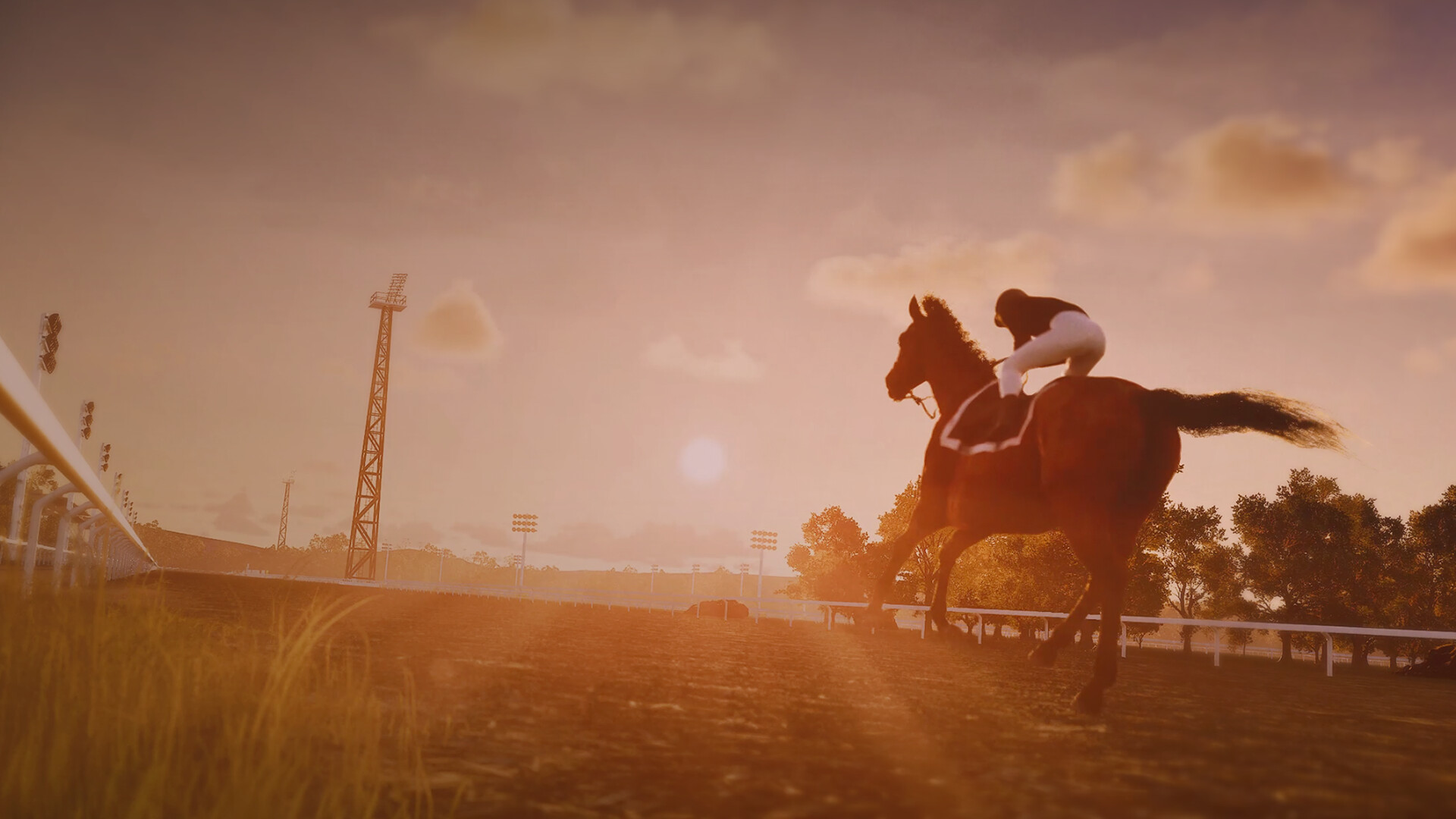 Champions Stable Equestrian Dynasty