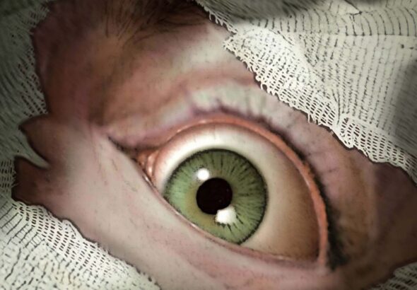 Sanitarium Enhanced cover