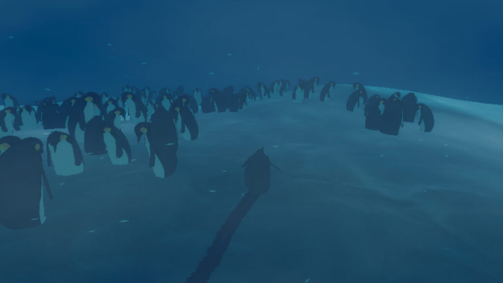 penguin colony
