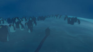 penguin colony