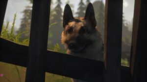 Hubert (33)