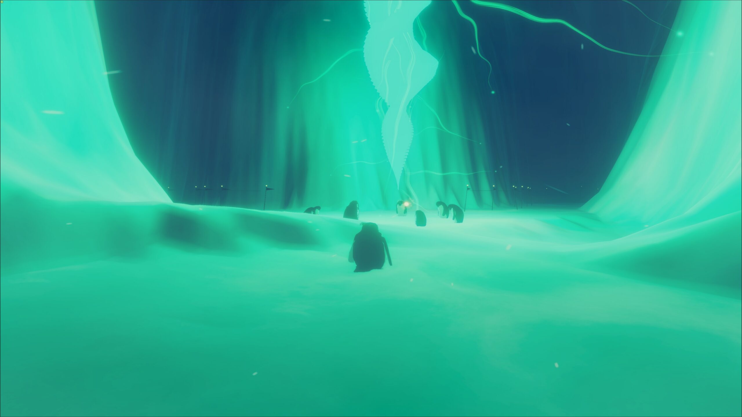 penguin colony (59)
