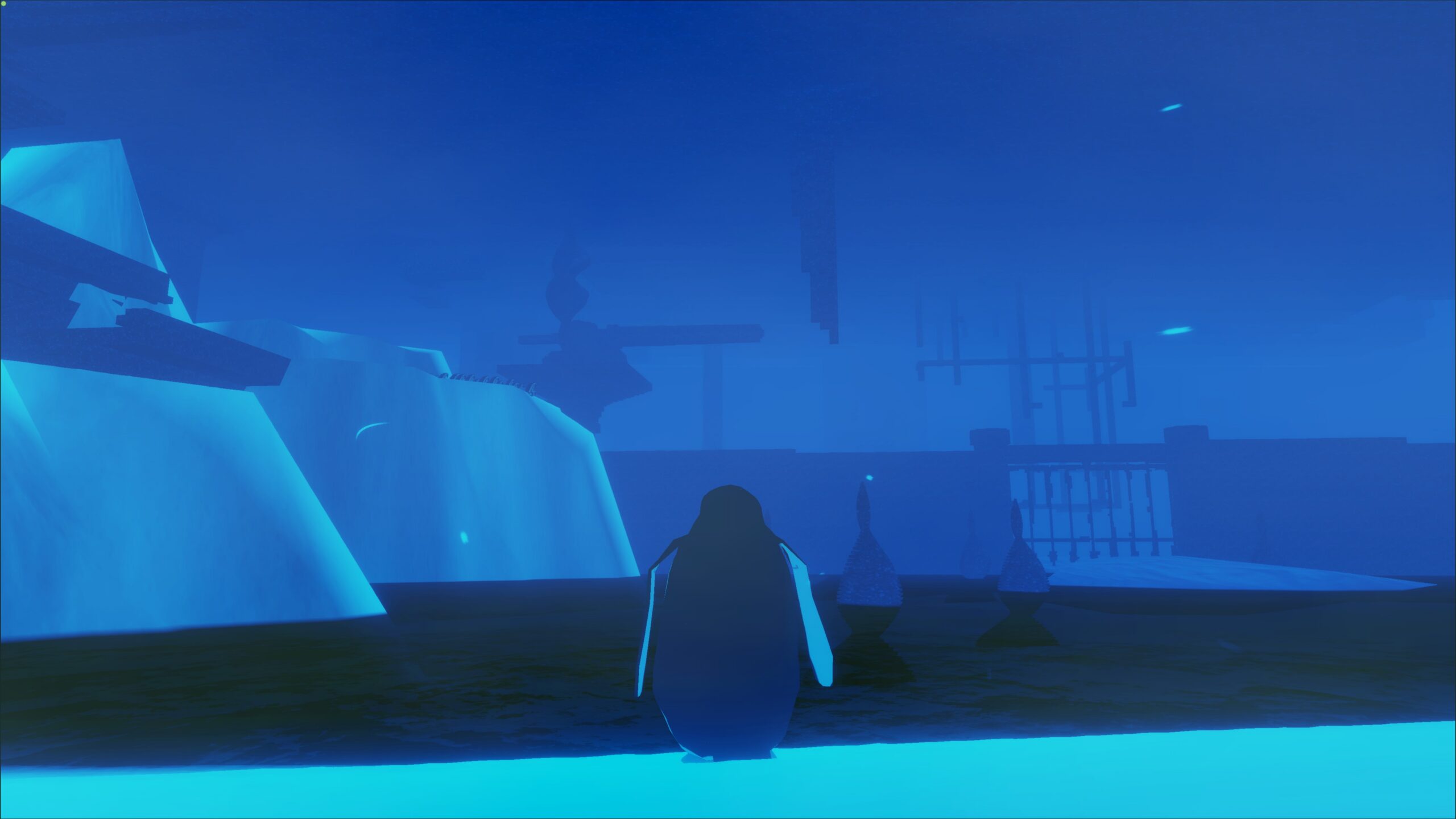 penguin colony (82)