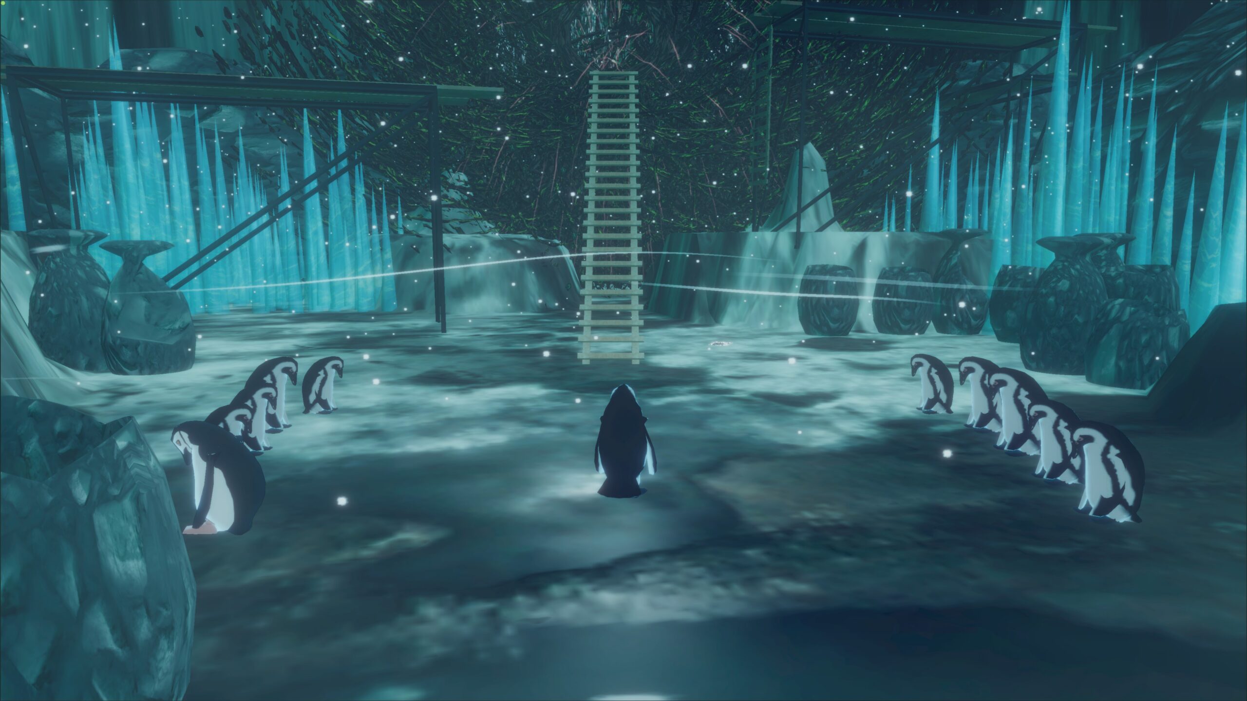 penguin colony (97)